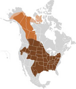 bison-range