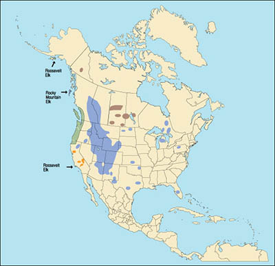 rocklymtnelk-range