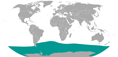 elephantsealsouthern-map