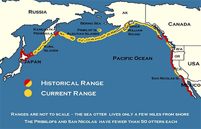 seaotter-map2