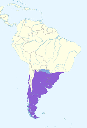 chimangocaracara-map