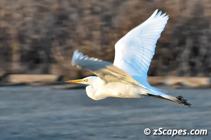 greategret-inflite-hmb11
