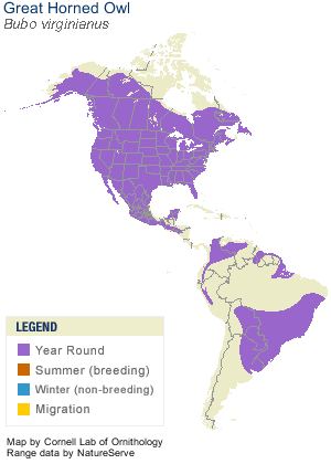 greathornedowl-range
