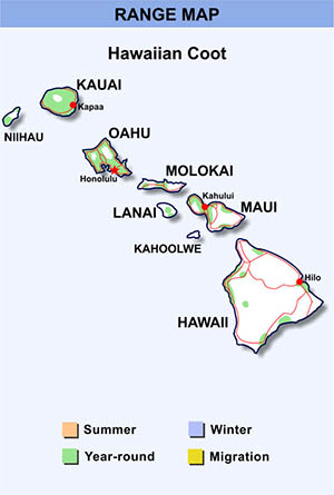 hawaiiancoot-range