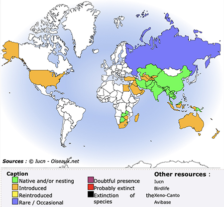 Myna Bird Range Map