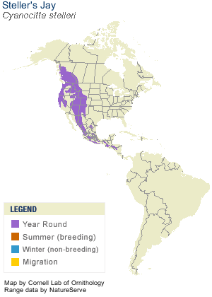 stellersjay-range