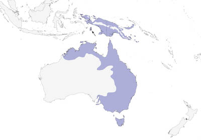 sulphercrestedcockatoo-range