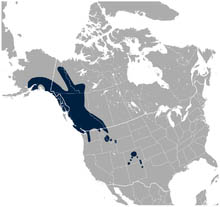 ptarmiganwhitetailed-range
