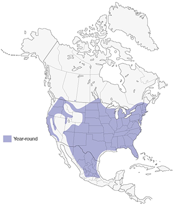WIld Turkey Range Map