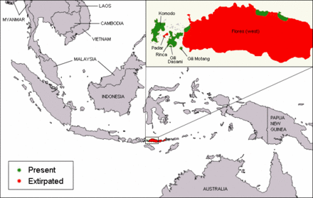 komododragon-range