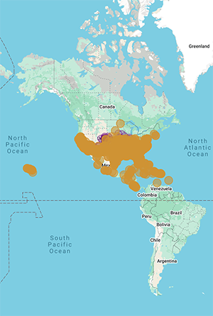 passionbutterfly-map