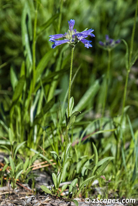 Stacks Image 7444