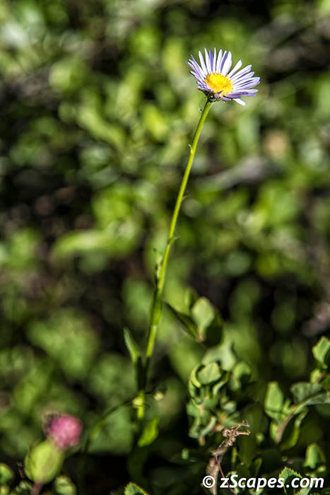 Stacks Image 8035