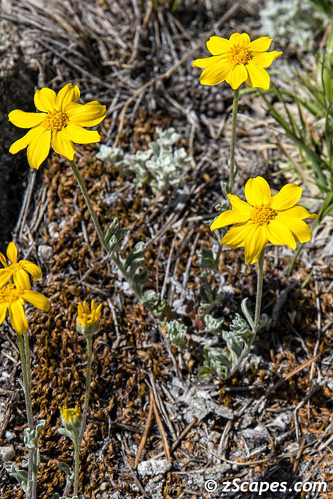 Stacks Image 7752