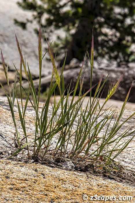 Stacks Image 7871