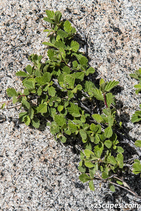Stacks Image 7786