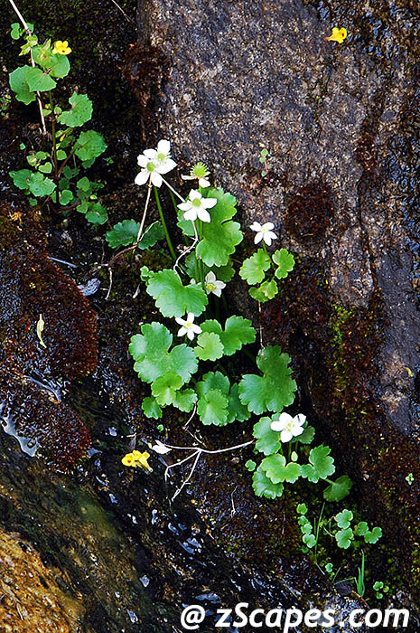 Stacks Image 8257