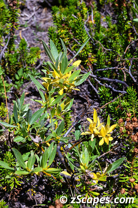 Stacks Image 8162