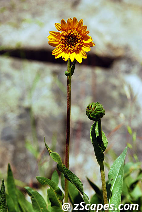 Stacks Image 7235