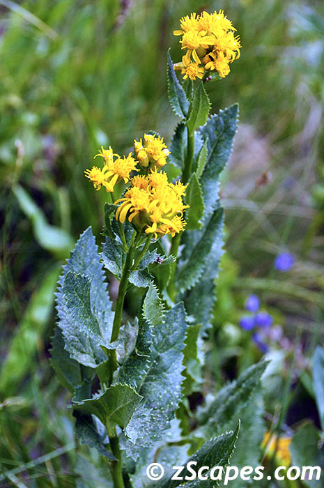 Stacks Image 7403
