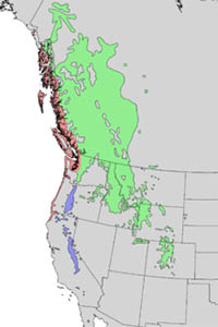 lodgepole-rangemap