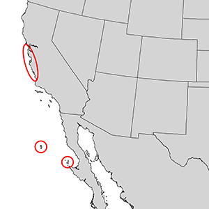 montereypine-range