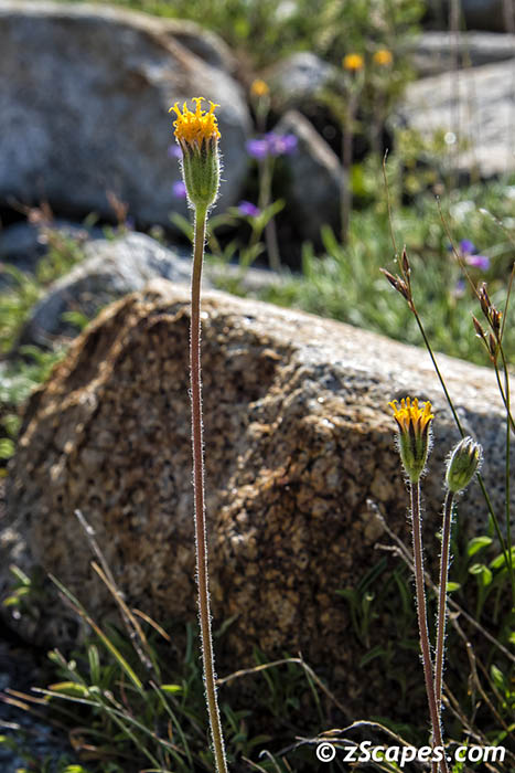 Stacks Image 6831