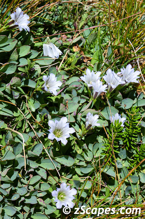 Stacks Image 8275