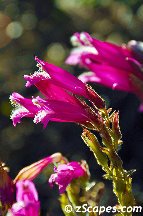 Stacks Image 7176