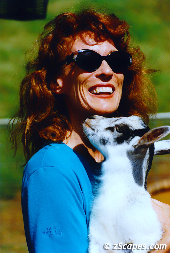 2003 Maui Surfing Goat Farm