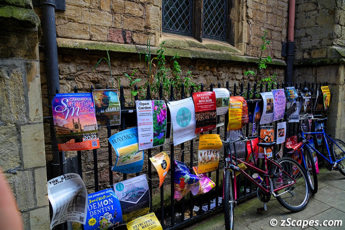 Cambridge Poster Fence 2023