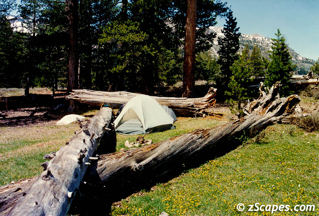 1992 Kennedy Lake Again