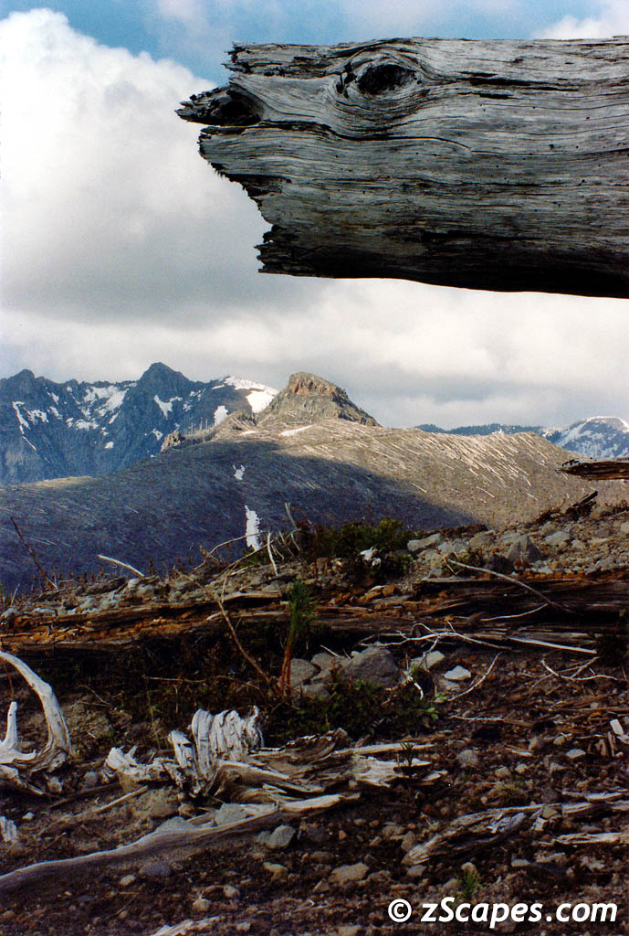2002 Elks & Mount St Helens