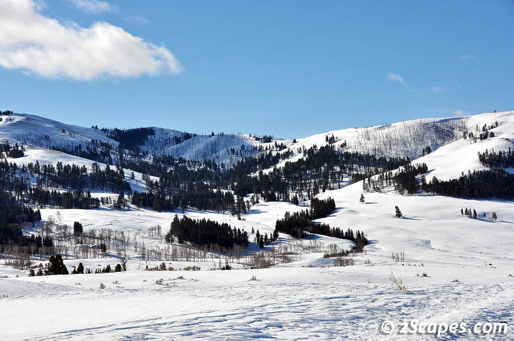 2011 Yellowstone Wintertime