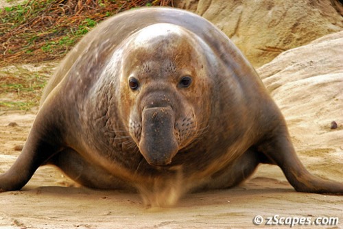 Año Nuevo Just Down the Road