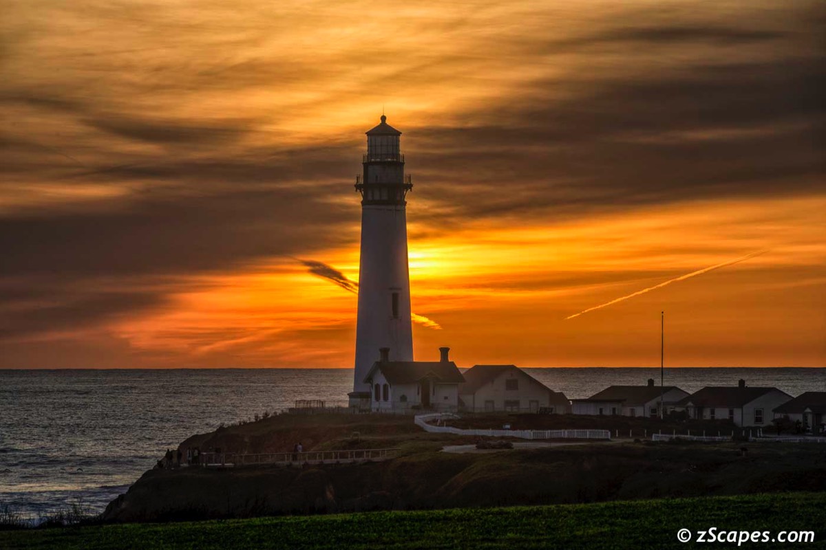 pigeonpt-earlyset-hmb1611-8418