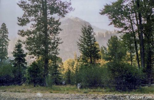 Upper kennedy Meadow sunrise mist