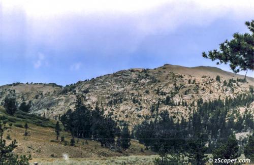 PCT Ridge @ Sonora Pass