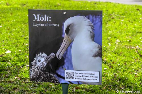 Friends of Kauai Moli Sign