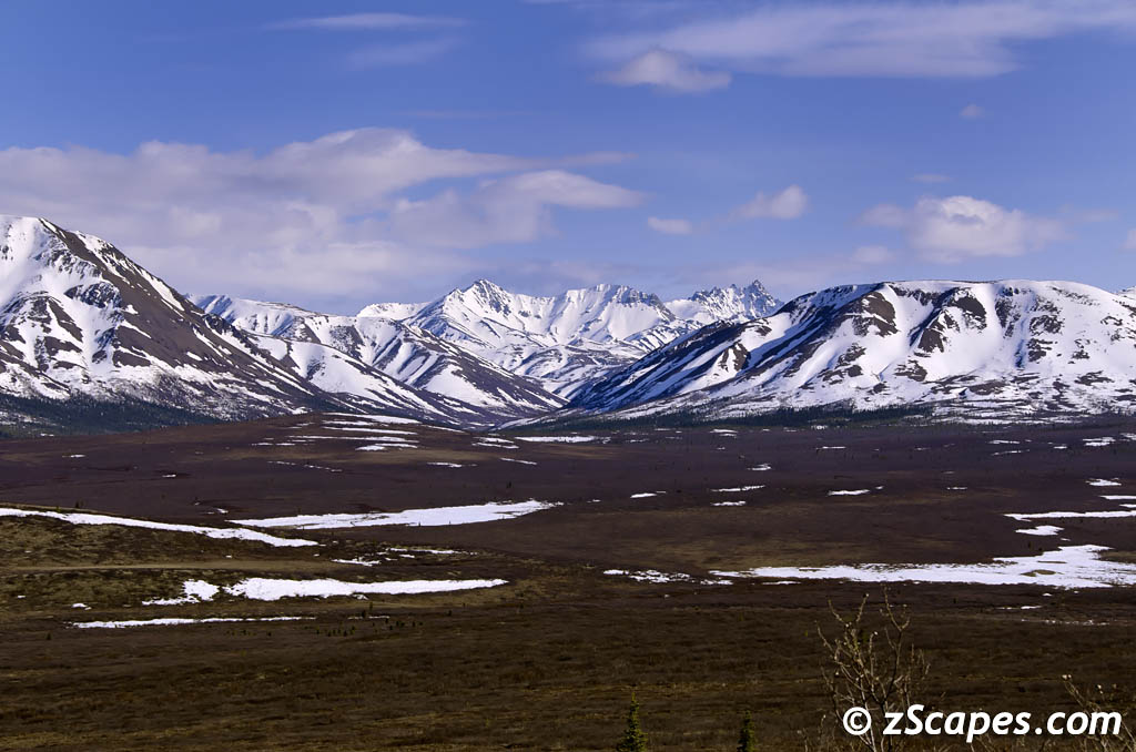 denalipk-tundra-anc1205-1819