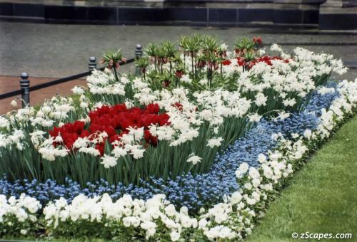 Fabulous flower bed in Zwinger Gardens Dresden