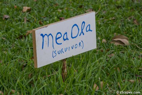 Hand Painted Sign